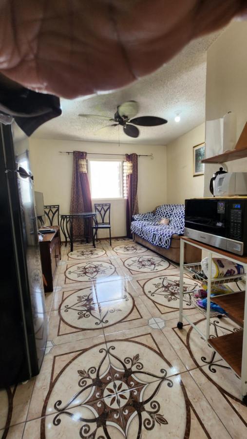 Oaklands Oasis Apartment คิงส์ตัน ภายนอก รูปภาพ