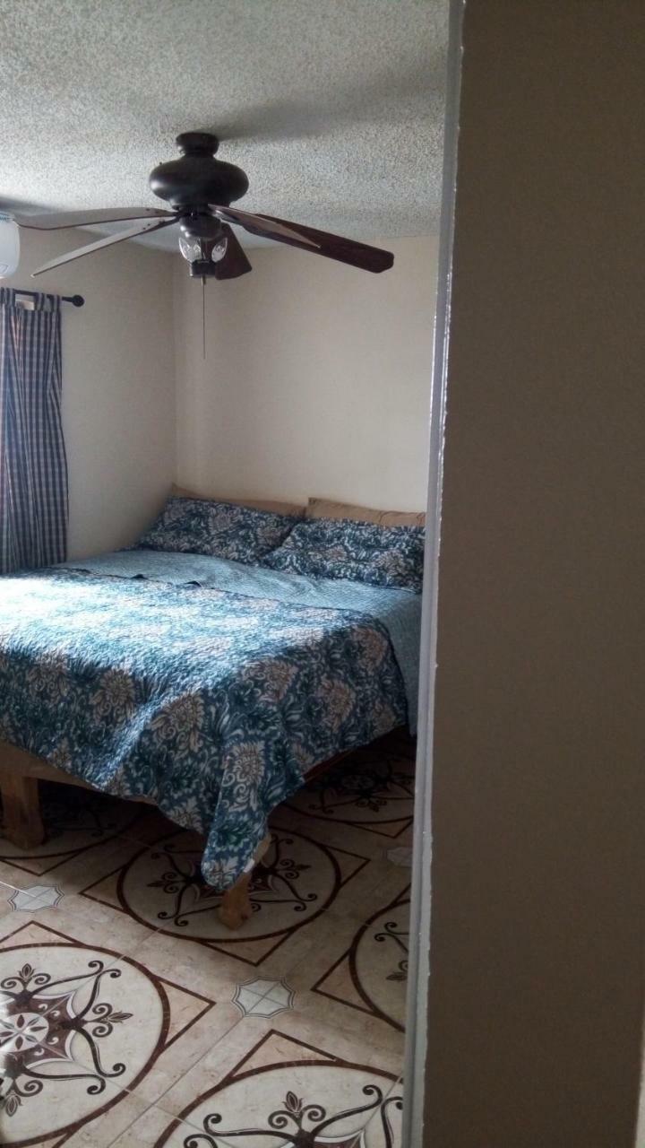 Oaklands Oasis Apartment คิงส์ตัน ภายนอก รูปภาพ
