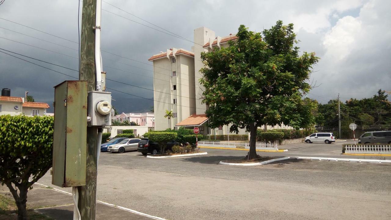 Oaklands Oasis Apartment คิงส์ตัน ภายนอก รูปภาพ